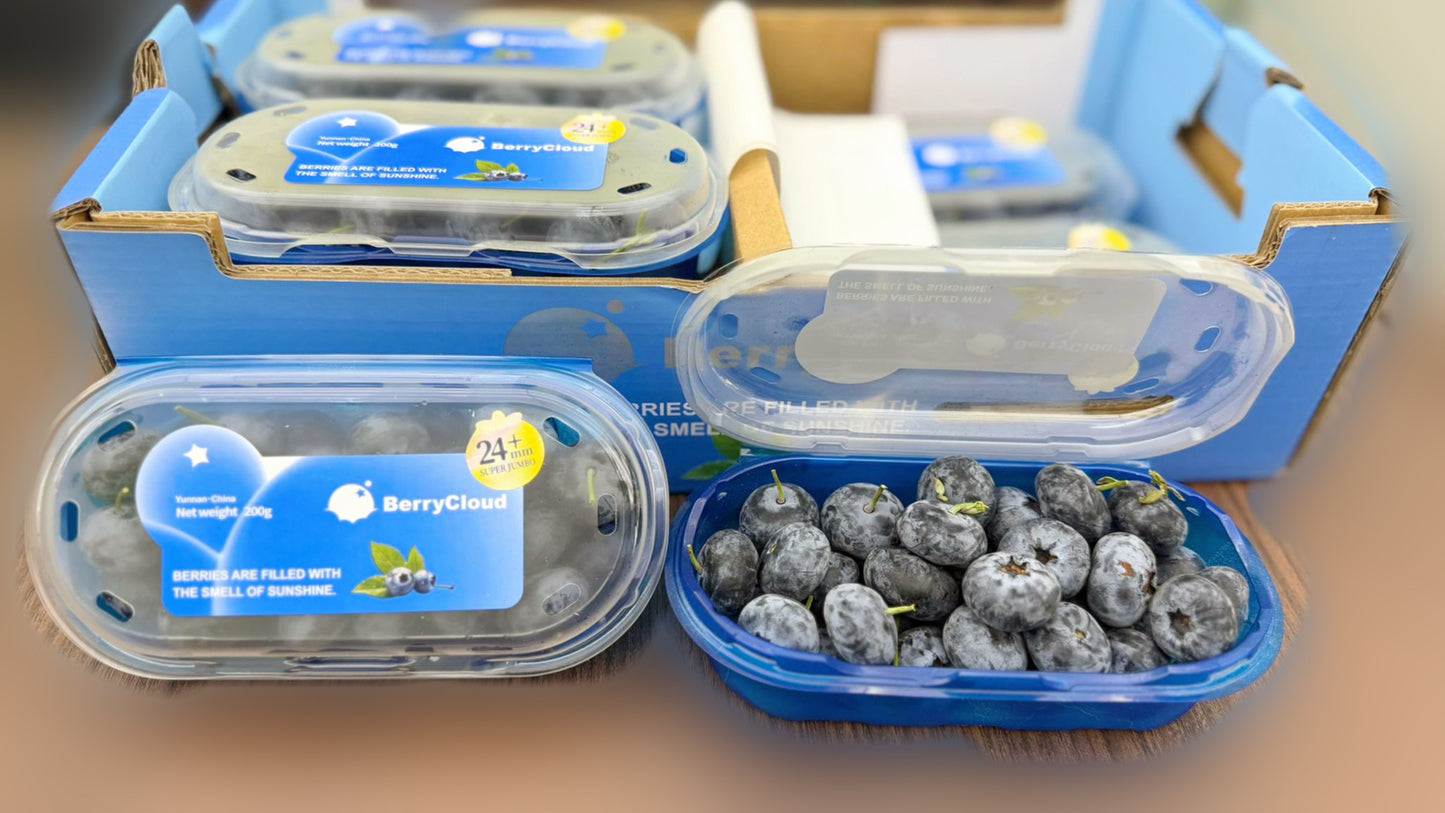 Yunnan Jumbo Blueberries