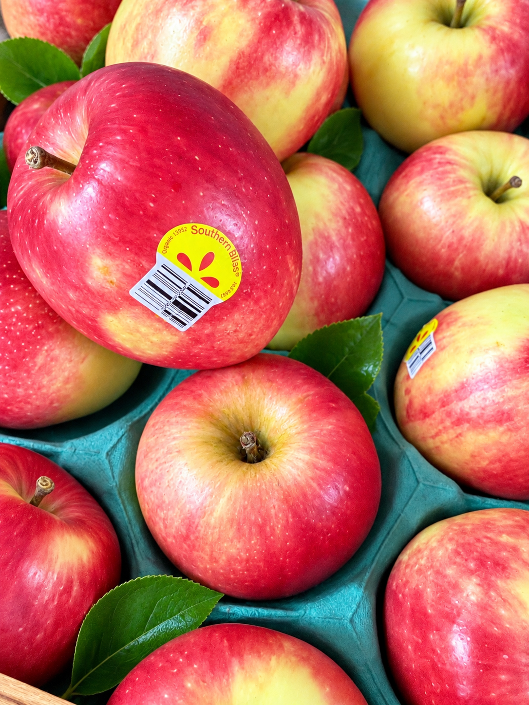 Southern Bliss Apple (Organic) 5pcs