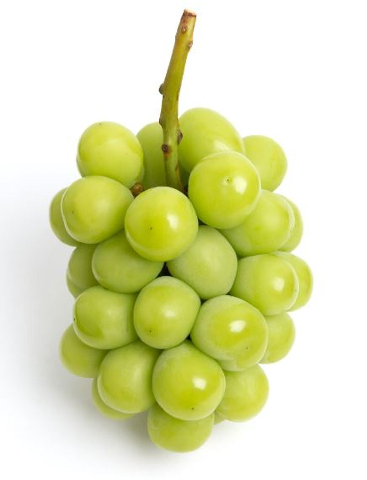 Premium Shine-Muscat Grapes (China)