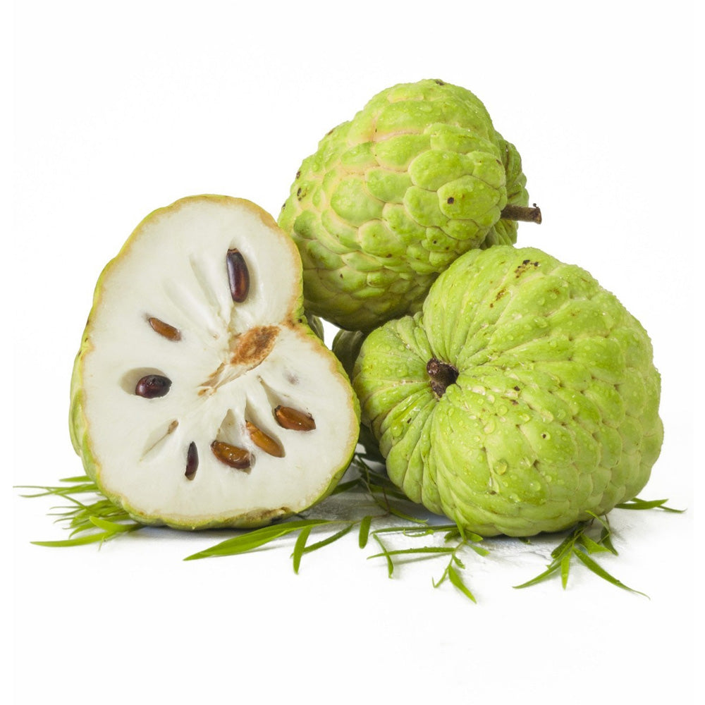 Custard Apple (Thailand)