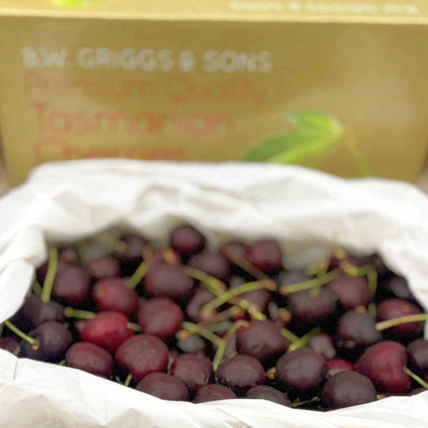 Tasmanian Cherry