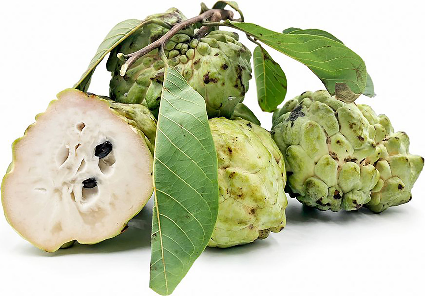Australia Custard Apple