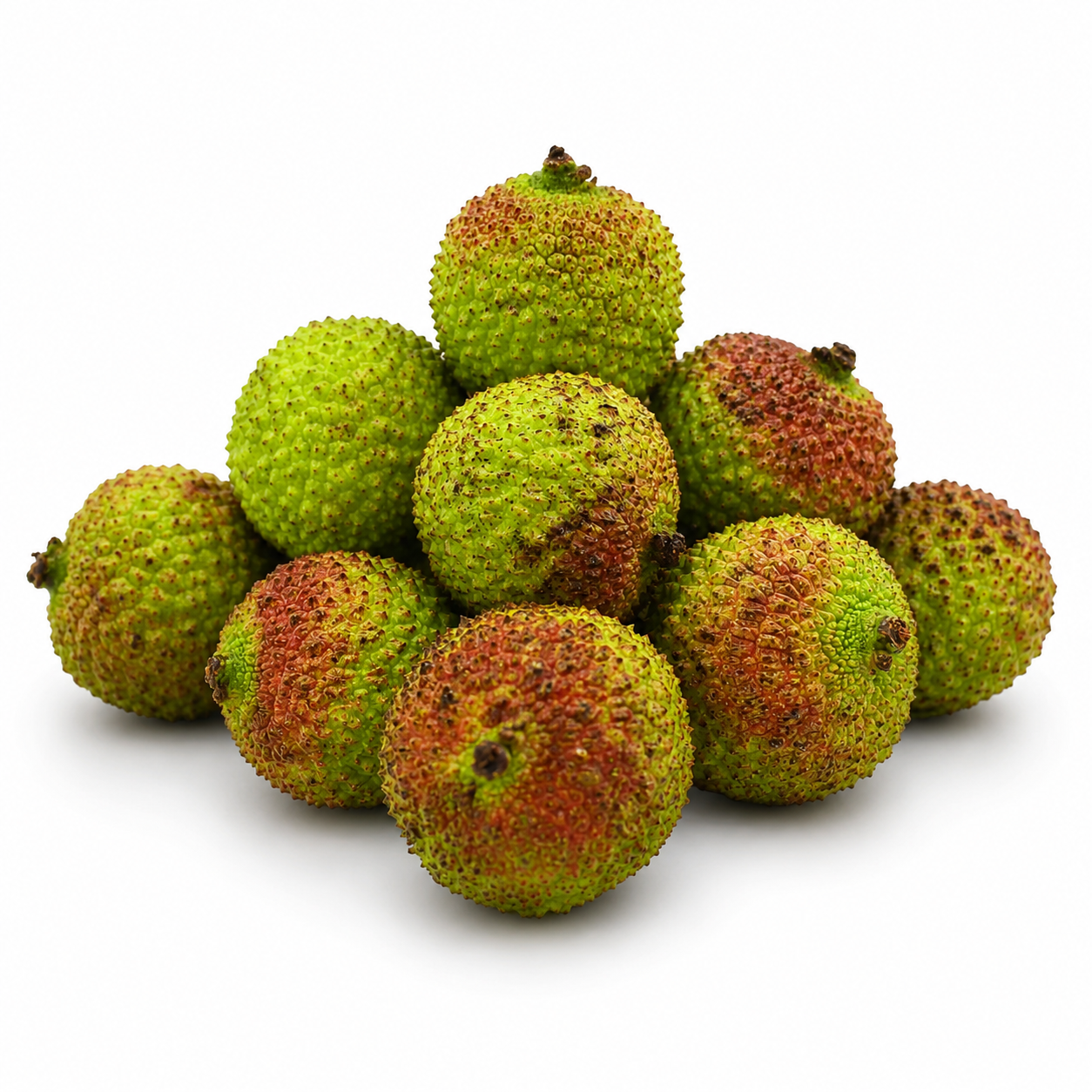 Lychee (妃子笑)