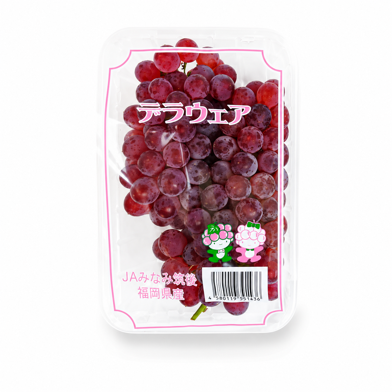 Fukuoka Delaware Grapes