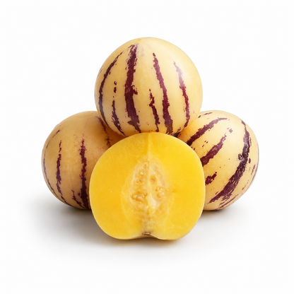 Honey Jar Ginseng Melon