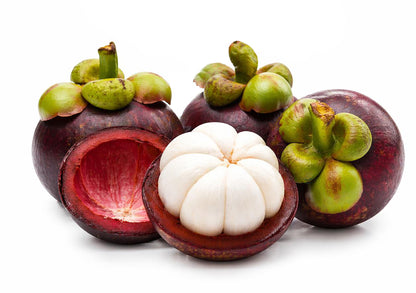 Mangosteen
