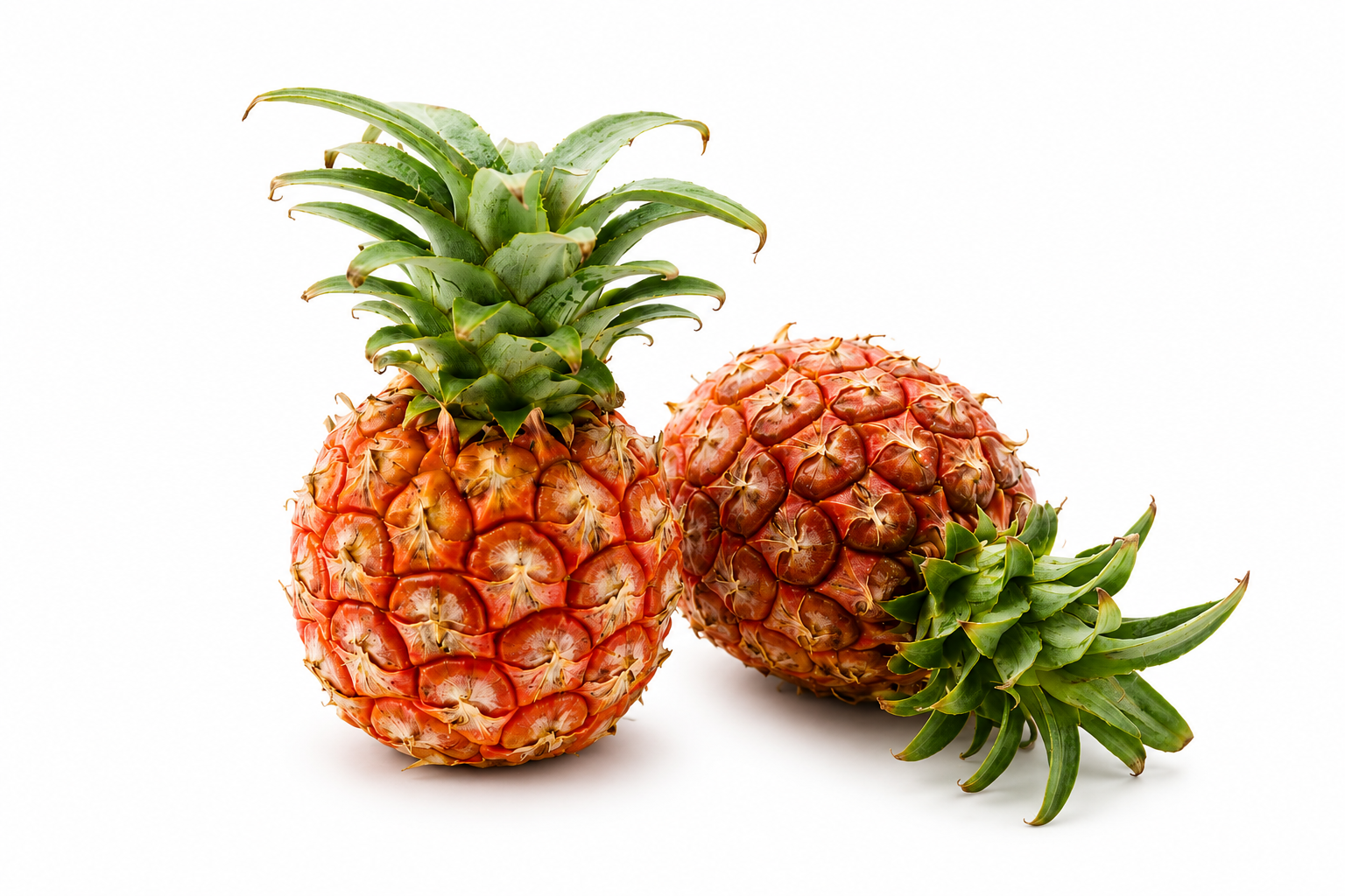 Okinawa Pineapple