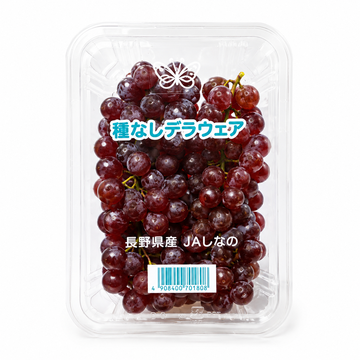 Shimane Delaware Grapes