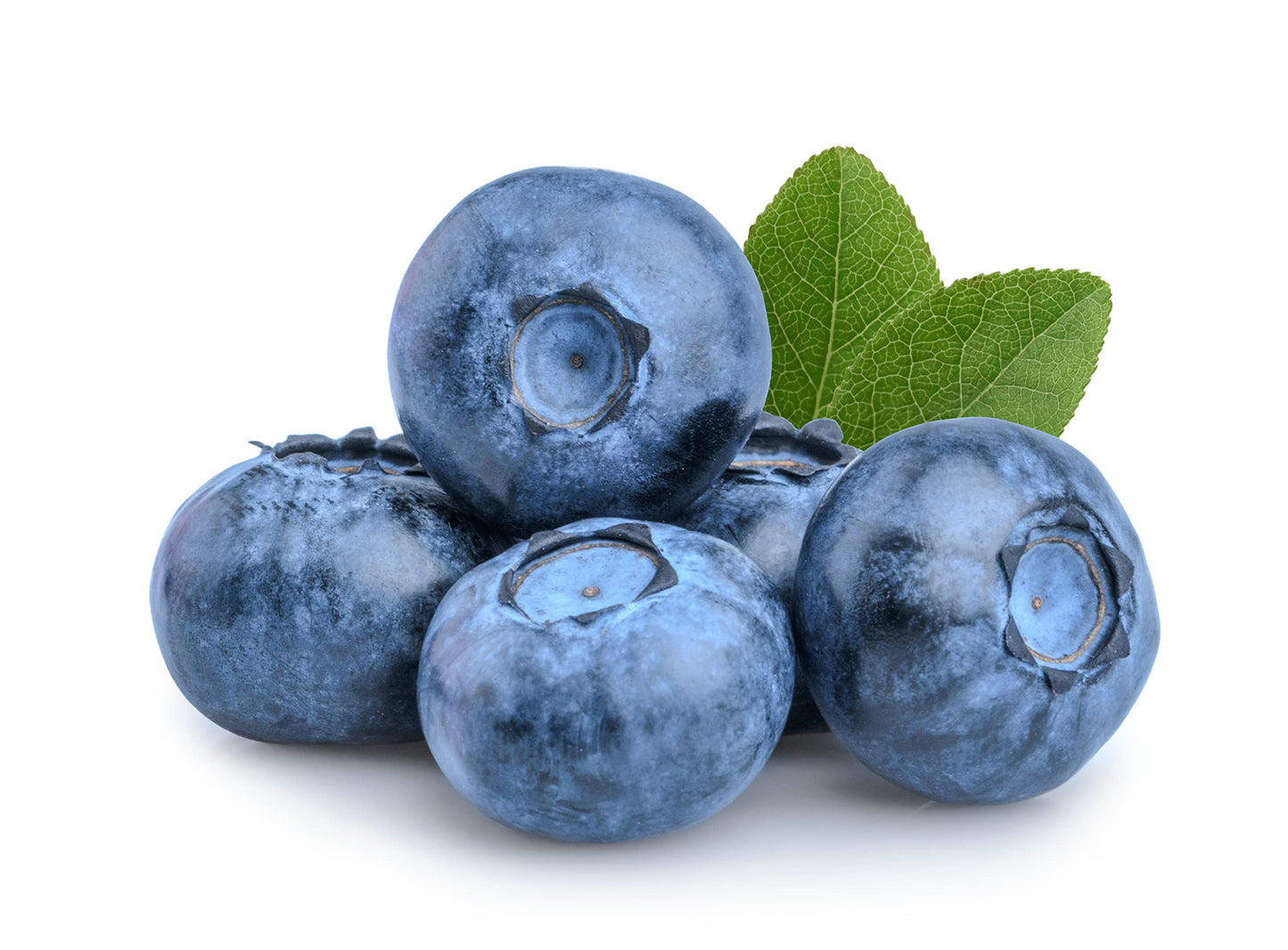 Super Jumbo Blueberry