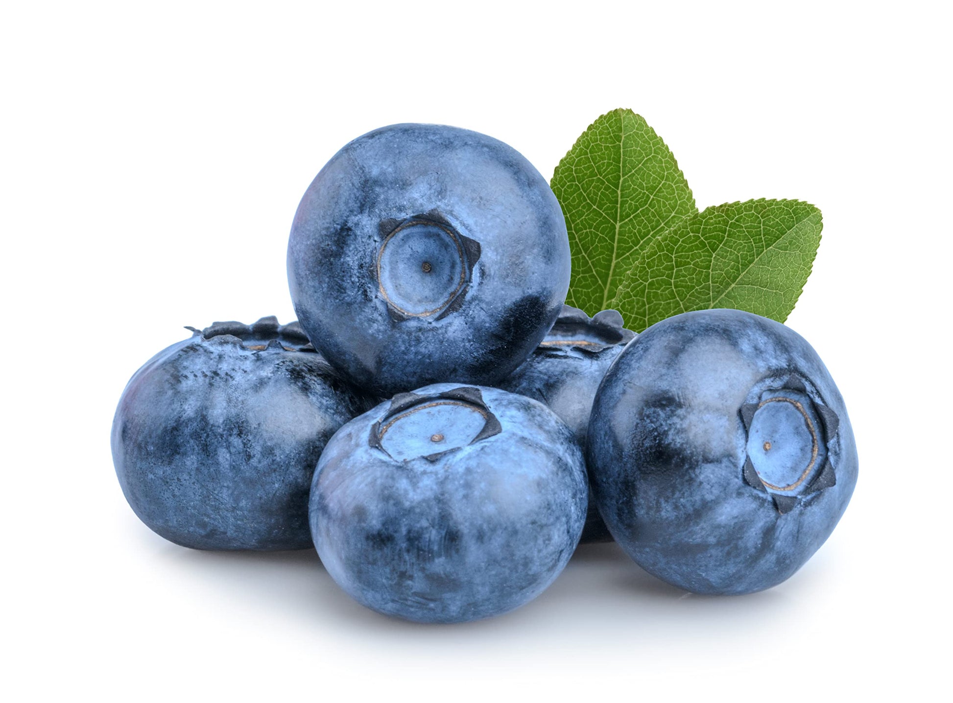 Super Jumbo Blueberry