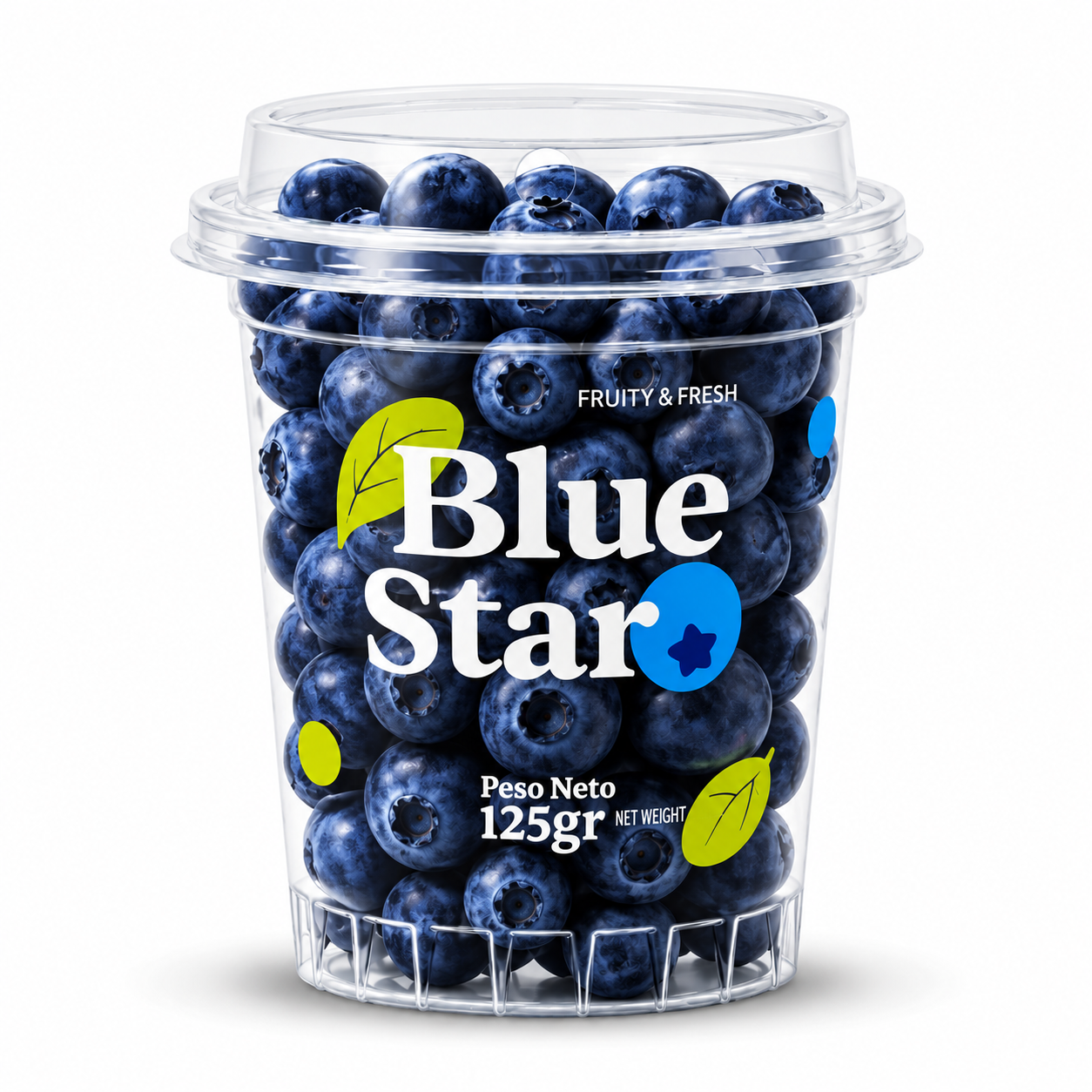 Blue Star Blueberry
