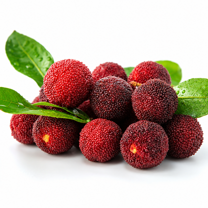 Dark Firm China Bayberry