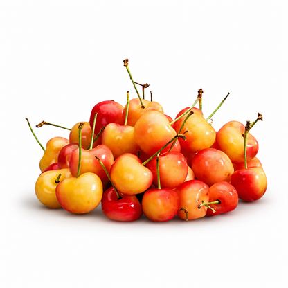 Skylar Rae White Cherry (USA)